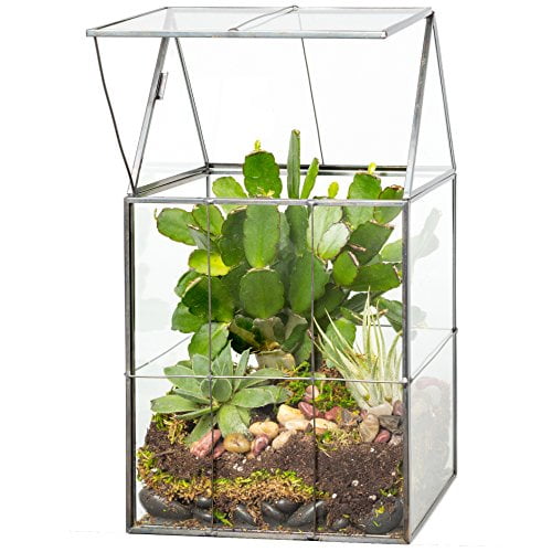 Terrarium DIY Kit Handmade Octagonal Clear Glass Planter Terrarium DIY Kit Handmade Octagonal Clear Glass Planter